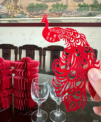 װ�ξ��Ʊ��ó�Ƭ