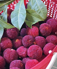 �ݵ���÷�ƣ�����ɫ�������ÿ��ģ�