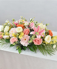 Сѧɢѧ�ۻ�òμ���