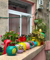 ��֤���� ����Ķ������Ժ���Щ��Ƭ�϶������� �ܾ���