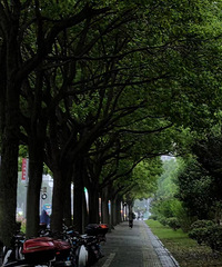 Ϊʲô������һ����Զ���ڰ�Ķ��ӣ�