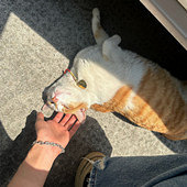 �ѵ����ֻ����Э��