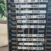 ��¥����ѧ