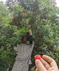 С���̻������˺ö���÷���ܳ���