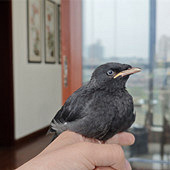 89��ˮƿ��˹������