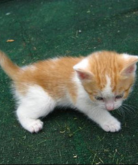 ������ �������Ϲ��ð�èè���� ���е����