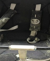 ���ܵ���÷�꼾�ľ޴�����