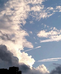 �еܵܵļ�ͥ ���Ͳ���ƽ�������������� ��ʲô���ô�����.��