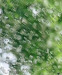 ��ٿ�ʼ�ˣ���ͥ������ͬ�������һ���������ǵڼ��֣�