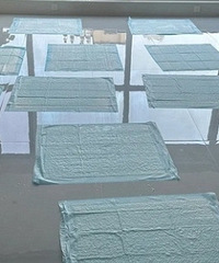 ��������ȩ���������������ο��