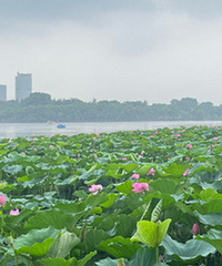 ͩ��93Ů����Ҷ�������ᣡ