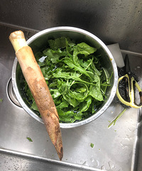 ��������ȵ��˶�ûθ�ڣ�Ϊ���ú��ӳԷ��������ţ�