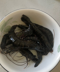 ��������ȵ��˶�ûθ�ڣ�Ϊ���ú��ӳԷ��������ţ�