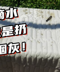 ��ʲô�취��һ��ɵX�ھӣ�