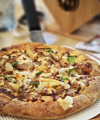 ��ʤ�͵������Ϻ��㣡֥ʿ������˿��