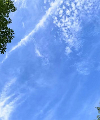 Ϊʲô���ڵ��˶�Ҫ�����˲Ž�飿