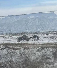 ������Ů����Ǯ������ ������Ů��