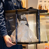 ���ֹ�С��ɴ