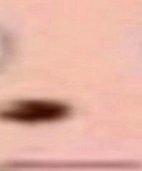 Ϊʲô�������ͥ�����ܲ��˶���