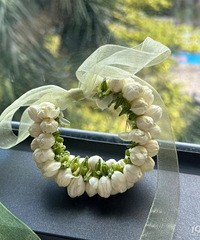 �����ִ���������������ֻ� ̫���ˣ�