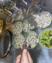 �����˳Թ����ͳ������������������������ڣ�