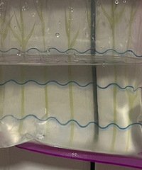 ������������λ�ø�ϴ�����ô�죿