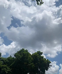 �ر��������ڵ�Сѧ�������������ѵ�������...