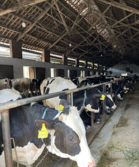 �������ȥ������ţ������ˬ ȥ�˾ͺ����