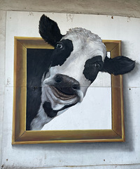 �������ȥ������ţ������ˬ ȥ�˾ͺ����