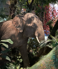 �㽭��Ȼ�����