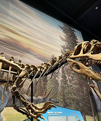 �㽭��Ȼ����ݿ������ԤԼ��Ʊ �������ݻ��Ǻܷḻ��