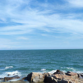 ��У��ʦ��������