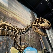 �㽭��Ȼ�����