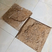 ����͵��������