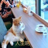 6���°���ĺ�����