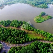 ɭ�ֳ���-����