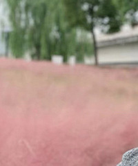 94������ѧ��ʦ����ɾ�Ƣ���ã�