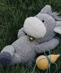 ��ν�ɾ��������û�����֤û��ϵ...