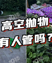 ʲô���� �е������ˣ�