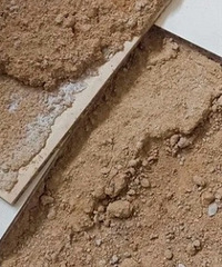 ����͵�����ϣ���ש���涼��ɳ�ӣ�