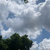 ���������ڵ�ѧ��