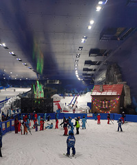 ̫�����ˣ��������������һ��Ҳ����ס �ʹ���ȥ�����ڻ�ѩ