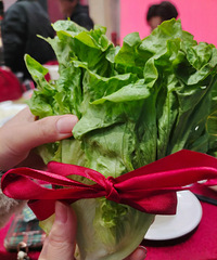 �����ѽ�������������ˡ�����û��������