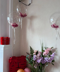 �����ҵ�Ư���鷿 ����һ��С���� �ڴ��Լ���Ƭ