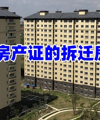 û�з���֤�Ĳ�Ǩ�����մ���