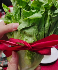 �����ѽ�������������ˡ��������ٷ���