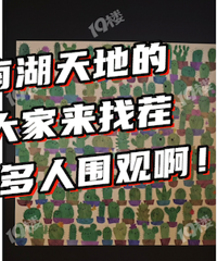 �㿴��������