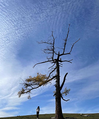 ����תת�ͻ��ǵ���...