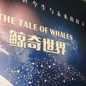 �������ȥ��������