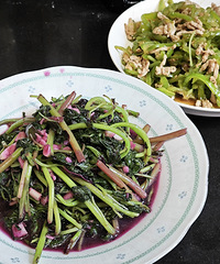 �����ҼҵĴֲ赭����ô�������򵥵����������Ҹ���~